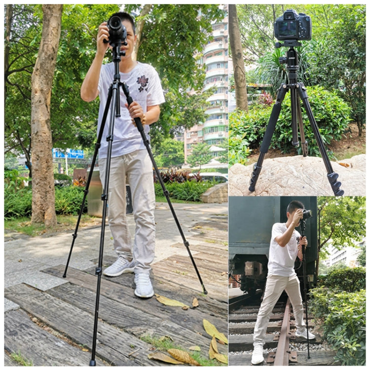 TRIOPO Oubao A-308S Adjustable Portable Aluminum Alloy Tripod with Ball Head for SLR Camera - free shipping - PMC TechLife - Order now!