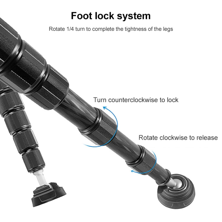 BEXIN P365C Camera Carbon Fiber Monopod Travel Live Selfie Bracket Holder - Monopods by BEXIN | Online Shopping South Africa | PMC TechLife | Buy Now Pay Later Mobicred