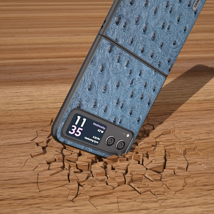 EDA004803802C_4.jpg@d7ab6d5a75b9d48286e02a9f4514172b