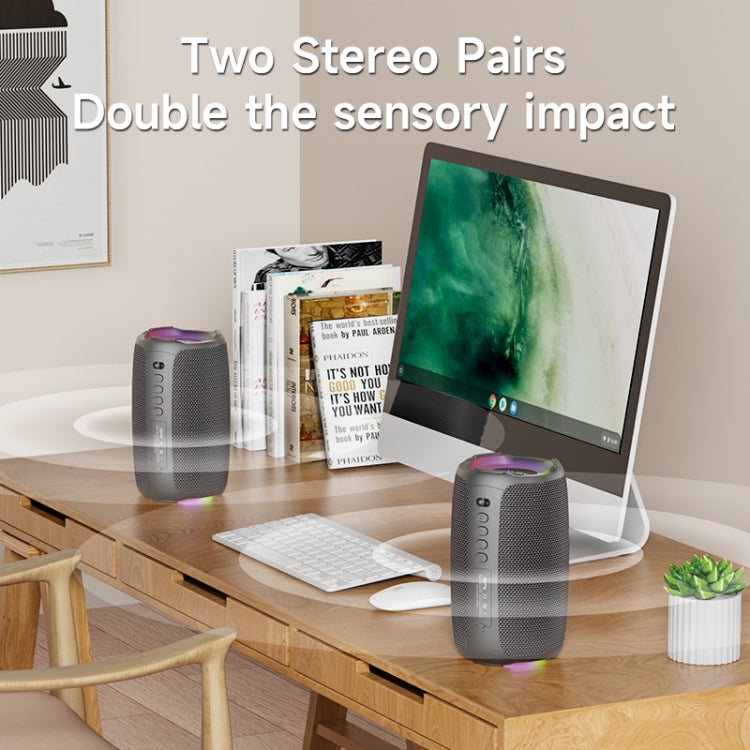 Zealot S61M RGB Rhythmic Light Karaoke Wireless Speaker, Style:Dual Mic(Black) - free shipping - PMC Jewellery - Order now!