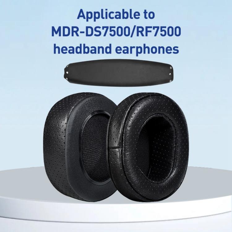 EDA0082617_B1.jpg@d8fe61363ebb9c00b2825bf17dc60e56