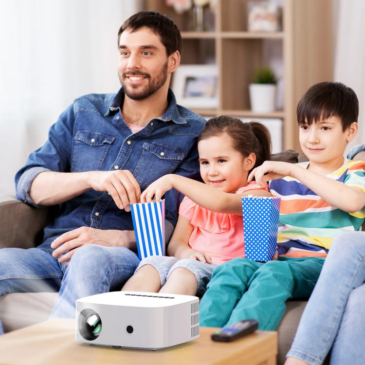 EDA0083326_B8.jpg@485bbc4d698232d12528a13d87dc24c1