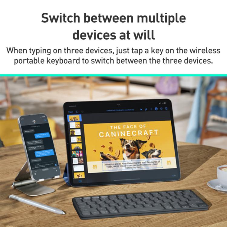 EDA0084580_B10.jpg@fe3d94e81ea8149241a36817c39bf539