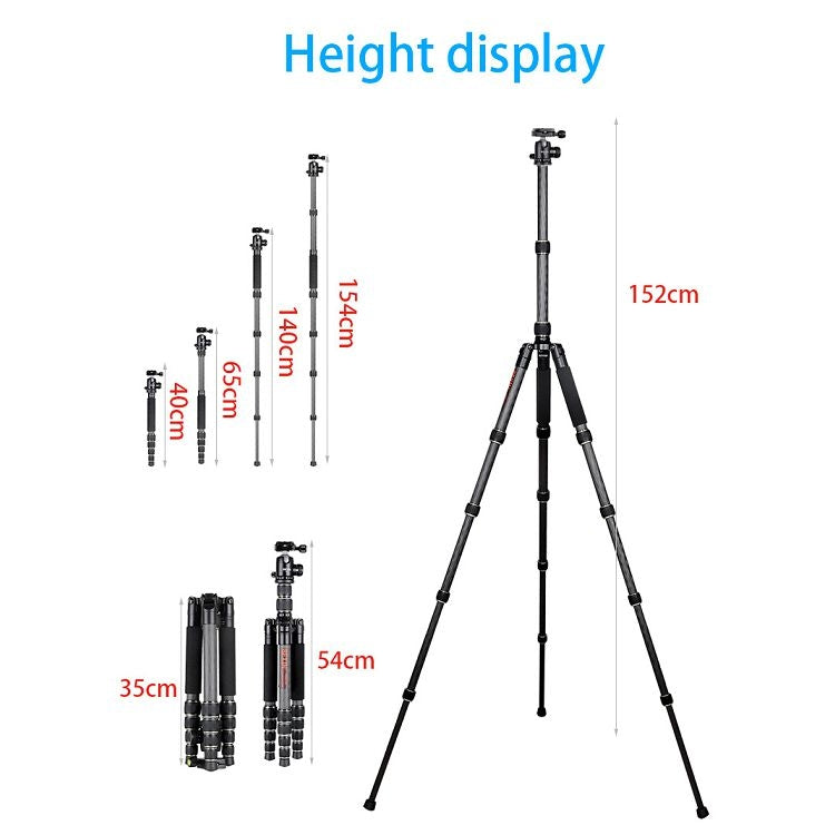 BEXIN BX255C K30 Portable Carbon Fiber Tripod for Camera Dslr - free shipping - PMC TechLife - Order now!