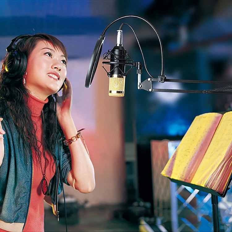 BM-800 3.5mm Studio Recording Wired Condenser Sound Microphone with Shock Mount, Compatible with PC / Mac for Live Broadcast Show, KTV, etc.(Blue) - Microphone by PMC TechLife | Online Shopping South Africa | PMC TechLife | Buy Now Pay Later Mobicred