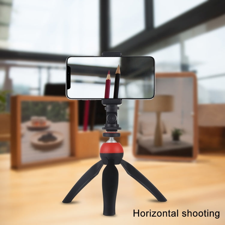 PULUZ 1/4 inch Screw Thread Cold Shoe Tripod Mount Adapter - Connection Mount by PULUZ | Online Shopping South Africa | PMC TechLife | Buy Now Pay Later Mobicred