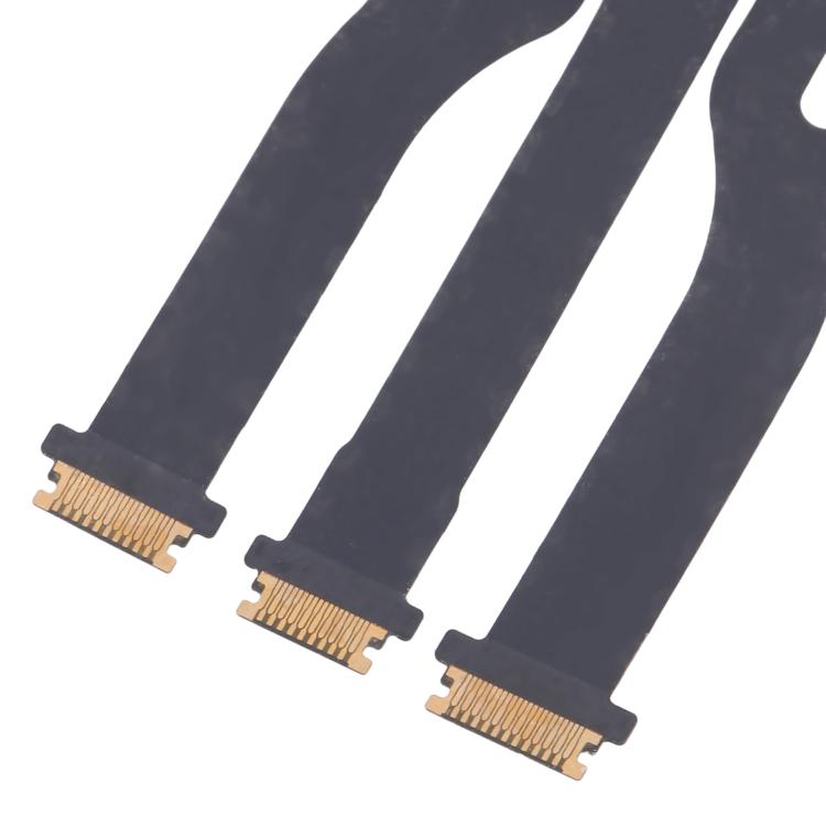 RPS0979_3.jpg@f57a7fa810bddc42939121bb9bb50f87