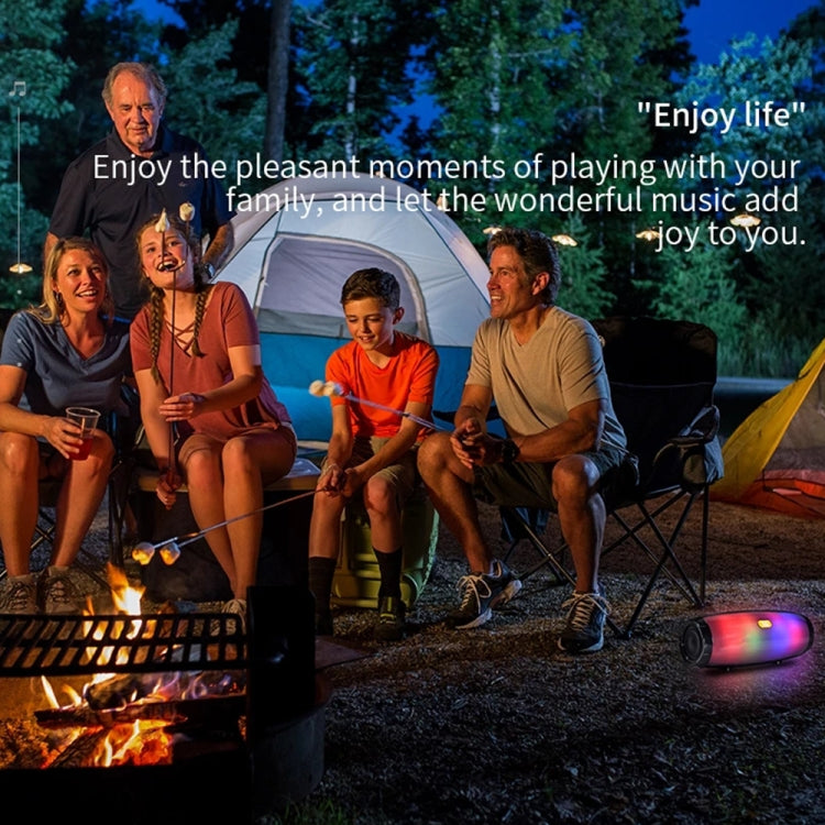 T&G TG165 5W*2 Portable Wireless Speaker Speaker With Dancing LED Flashing Light Mp3 AUX USB FM Radio Stereo Subwoofer(Green) - free shipping - PMC Jewellery - Order now!