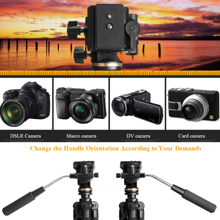 QingZhuangShiDai Q111S Aluminum Alloy Mobile Phone Camera Photography Tripod(Black) - free shipping - PMC TechLife - Order now!