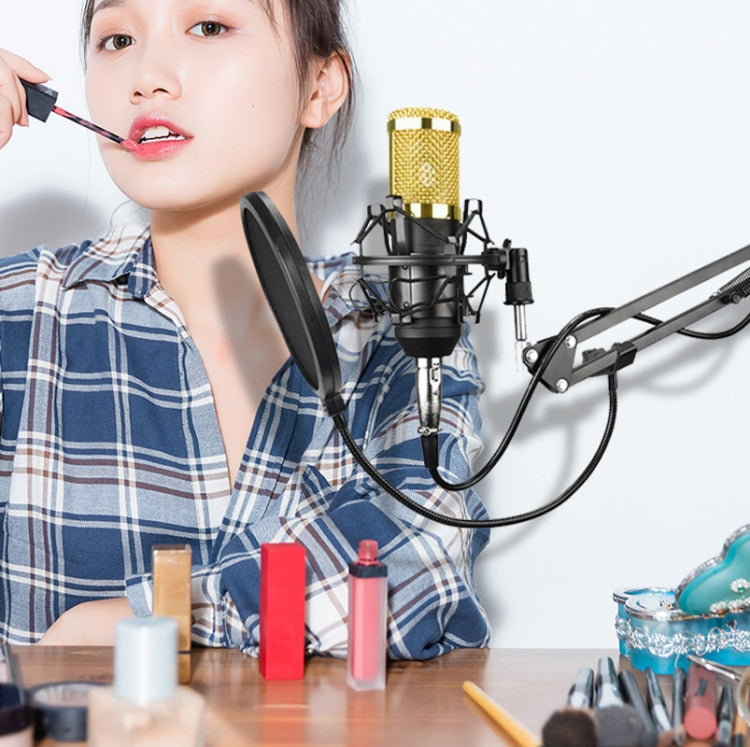 BM800 Condenser Microphone Set With USB Sound Card(Black And Golden Net) - Microphone by PMC Jewellery | Online Shopping South Africa | PMC Jewellery | Buy Now Pay Later Mobicred