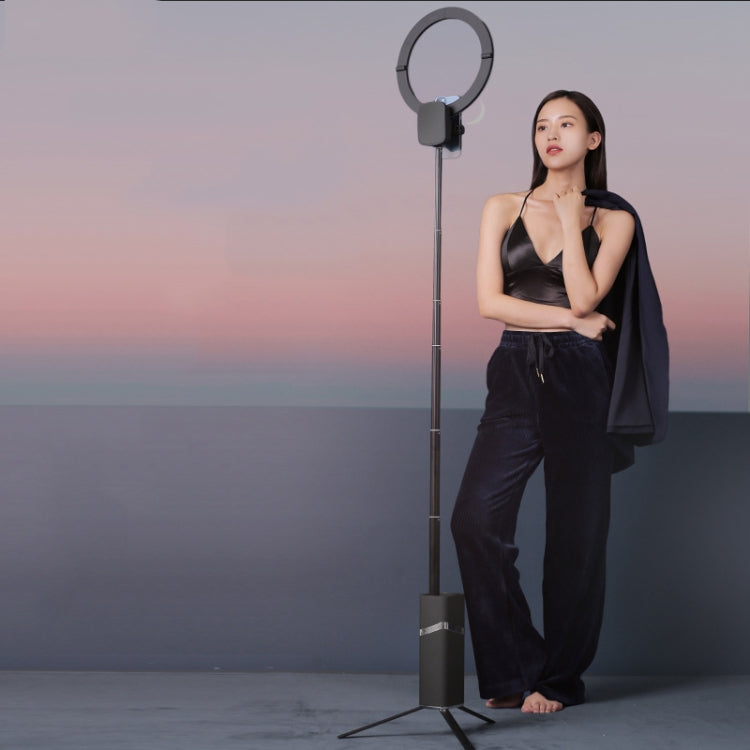 CYKE One-Piece Live Invisible Bracket Beauty Filling Light(Black) - free shipping - PMC TechLife - Order now!