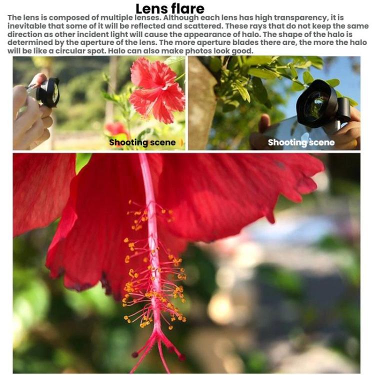 TBD06024300_B6.jpg@bb280b3bad5074c8294ff3d946a60c83