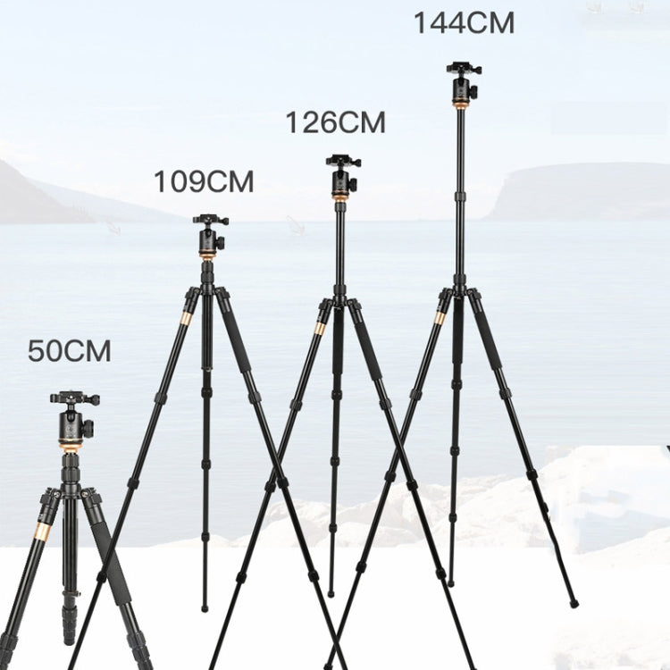 QingZhuangShiDai Q999S Portable Projector Photography Camera Live Gimbal Tripod(Black) - free shipping - PMC TechLife - Order now!