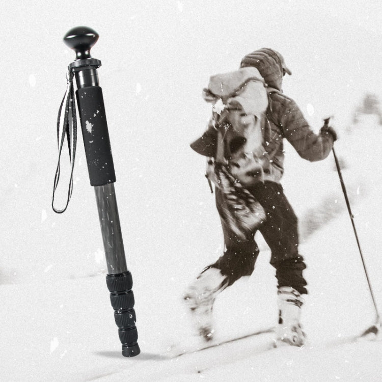 BEXIN P285C Carbon Fiber DSLR Camera Monopod Mountaineering Stick Photography Selfie Holder - Monopods by BEXIN | Online Shopping South Africa | PMC TechLife | Buy Now Pay Later Mobicred