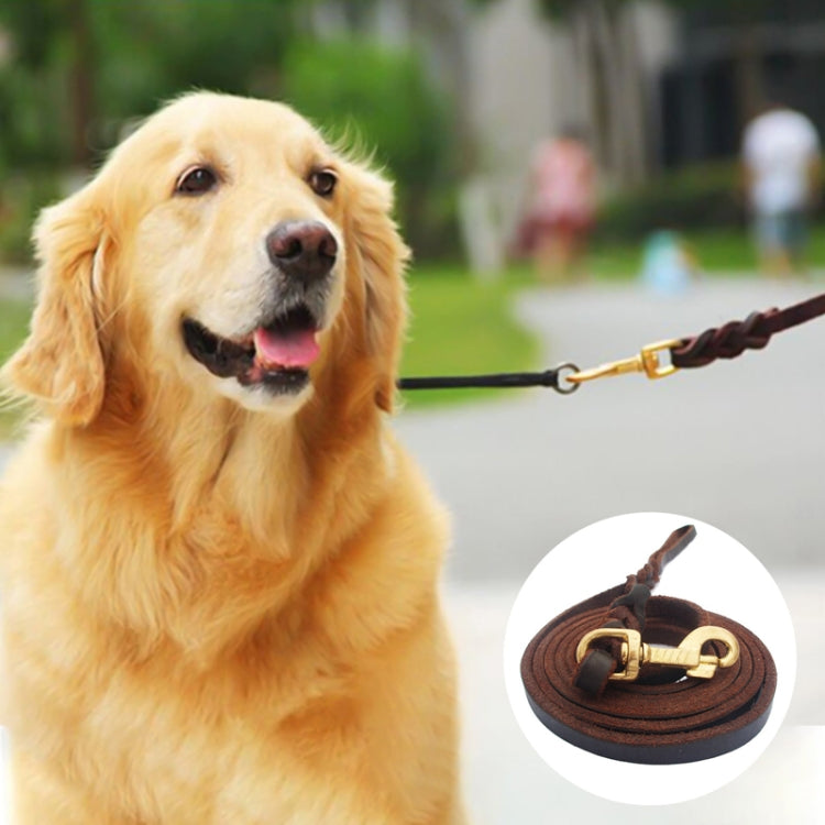 1.2 x 250cm Pet Outing Cowhide Towing Leash Dog Training Harness(Bronze Hook) - Leashes & Chest Strap by PMC TechLife | Online Shopping South Africa | PMC TechLife | Buy Now Pay Later Mobicred