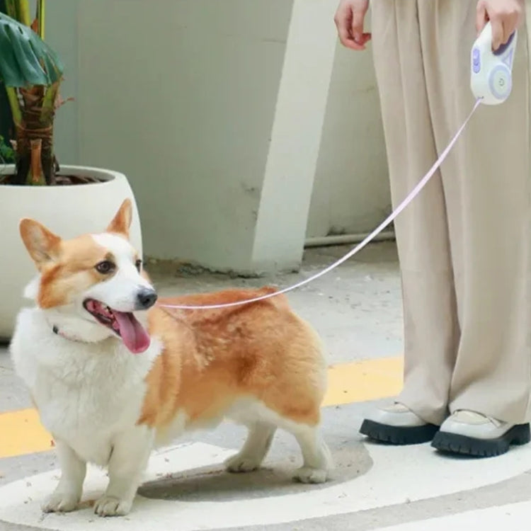 LED Light Luminous Pet Dog Leash Automatic Retractable Dog Walking Leash, Color: 3m Green - Leashes & Chest Strap by PMC TechLife | Online Shopping South Africa | PMC TechLife | Buy Now Pay Later Mobicred