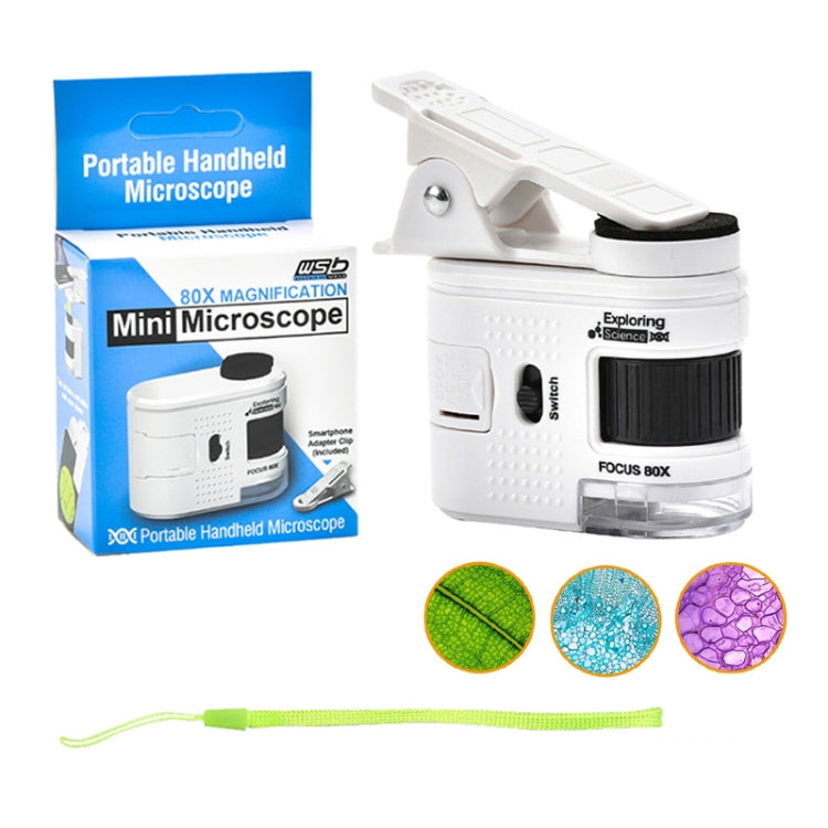 80X Children Mini Portable Microscope Student Antique Jewelry Identification Science Experiment Teaching Toy, Model: No Phone Clip - free shipping - PMc TechLife - Order now!
