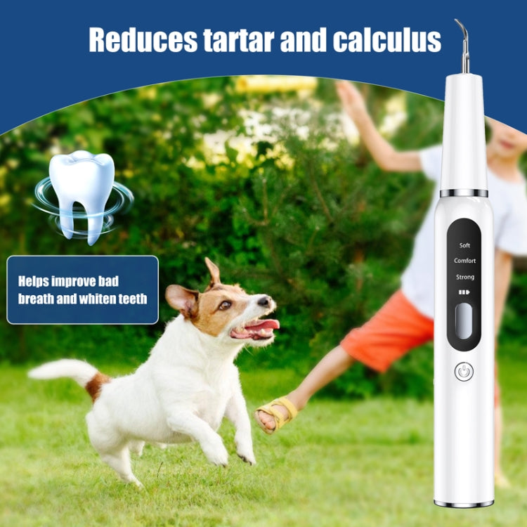 Pet Ultrasonic Teeth Cleaner Dog Electric Teeth Cleaning Tool Home Dentistry Tartar Remover(Black) - Oral Cleaning Tools by PMC TechLife | Online Shopping South Africa | PMC TechLife | Buy Now Pay Later Mobicred