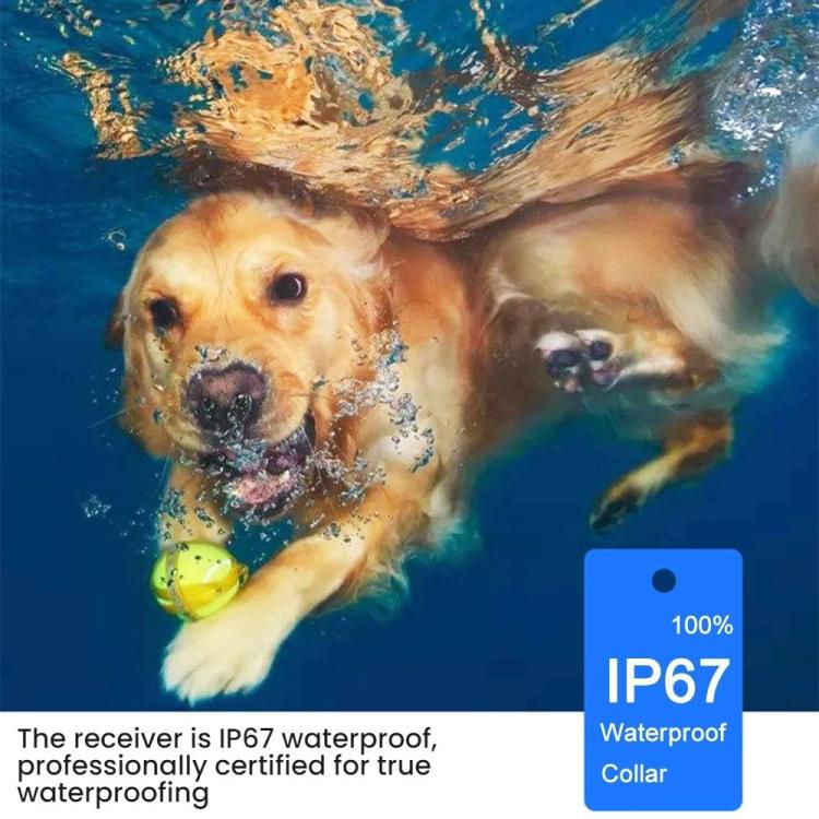 TBD06062715_B6.jpg@690b2bf551e158e2f537e1b795f19876