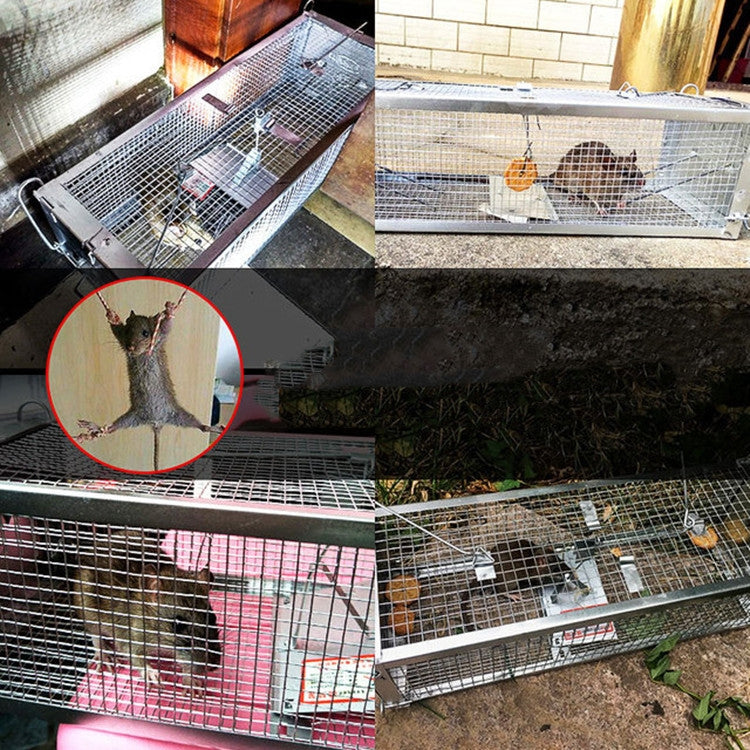 Household Mouse Cage Mousetrap with Double Door(Silver) - Traps by PMC TechLife | Online Shopping South Africa | PMC TechLife | Buy Now Pay Later Mobicred