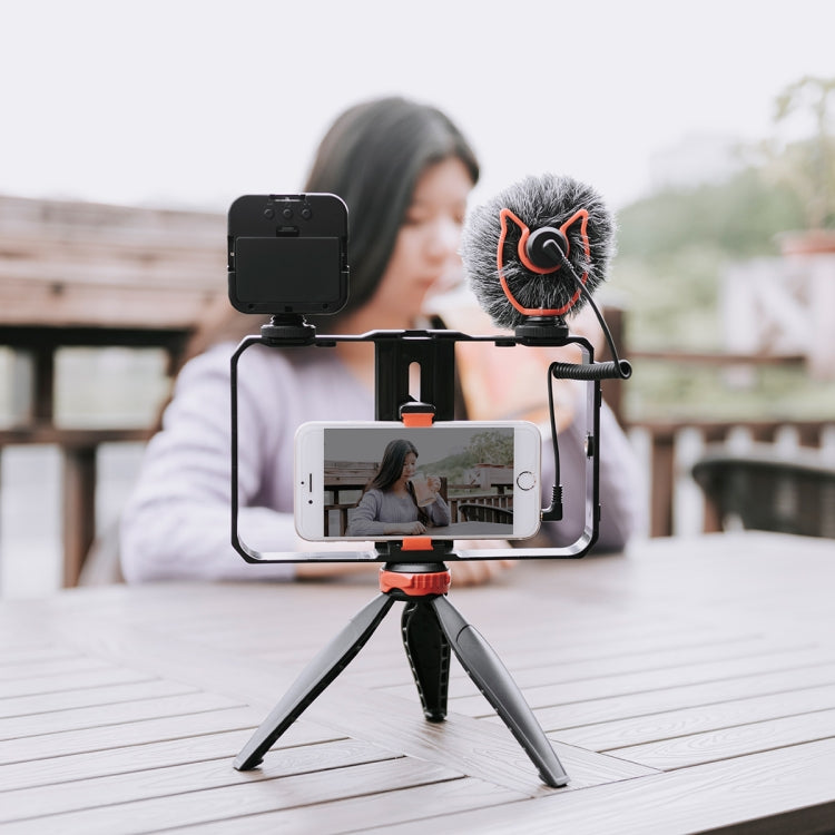YELANGU PC204 YLG1801D Vlogging Live Broadcast LED Selfie Light Smartphone Video Rig Handle Stabilizer Bracket Kits with Microphone & Tripod - free shipping - PMC TechLife - Order now!