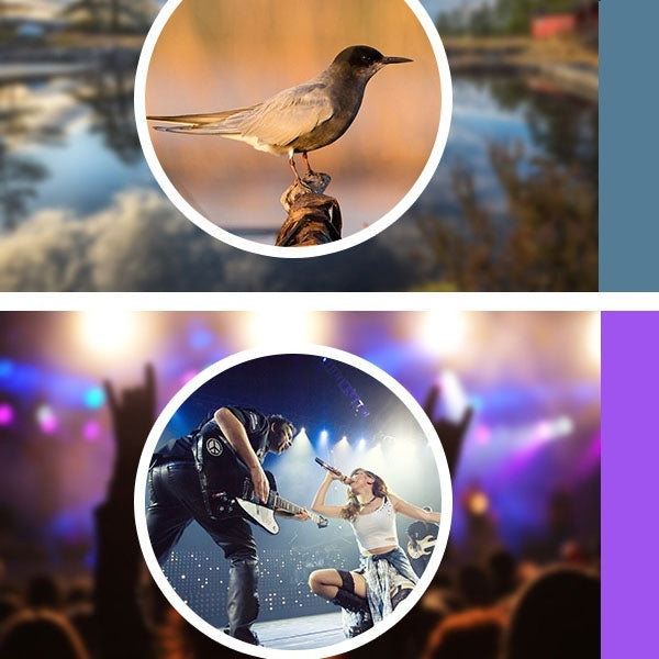 Universal 12X Zoom Optical Zoom Telescope Lens with Clip - Telescope & Microscope by PMC TechLife | Online Shopping South Africa | PMC TechLife