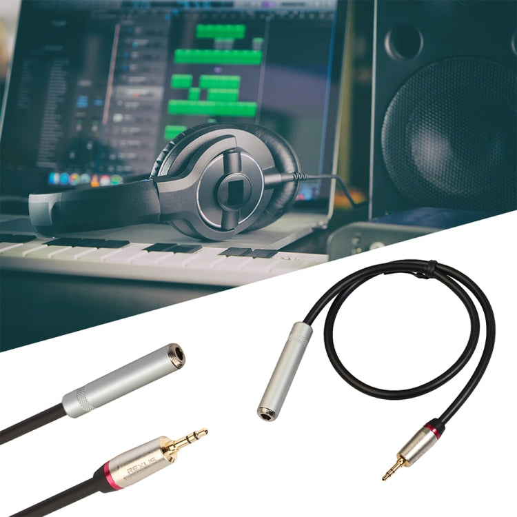 REXLIS TC128MF 3.5mm Male to 6.5mm Female Audio Adapter Cable, Length: 1m - Audio Adapter by REXLIS | Online Shopping South Africa | PMC TechLife | Buy Now Pay Later Mobicred