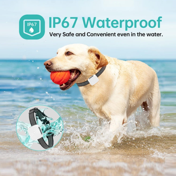 Pet Training Smart Bark Stopper Waterproof Vibration Collar(Black) - free shipping - PMC TechLife - Order now!