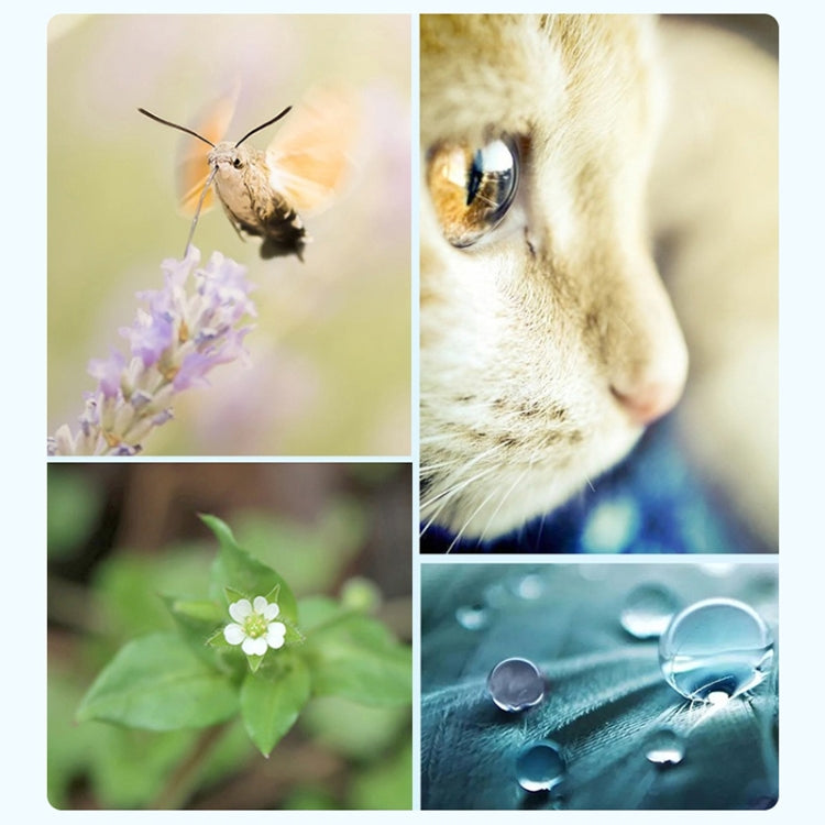 RUIGPRO for GoPro HERO 7/6 /5 Professional 52mm UV Lens Filter with Filter Adapter Ring & Lens Cap - free shipping - PMC TechLife - Order now!