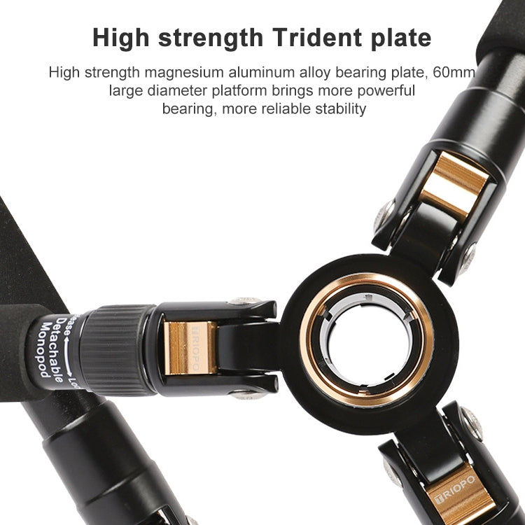 TRIOPO 554 Adjustable Portable  Aluminum Alloy Tripod with D-2A Ball Head for SLR Camera - free shipping - PMC TechLife - Order now!