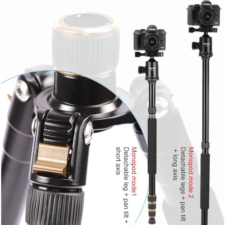 TRIOPO 554 Adjustable Portable  Aluminum Alloy Tripod with D-2A Ball Head for SLR Camera - free shipping - PMC TechLife - Order now!