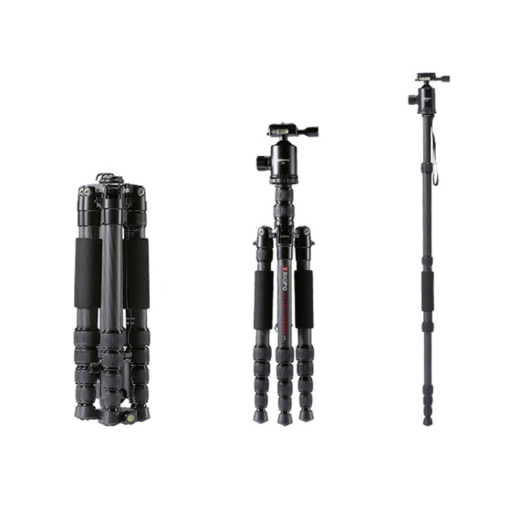 TRIOPO T259G+Q2 Adjustable Portable Carbon Fiber Tripod with Q-2 Ball Head for SLR Camera - free shipping - PMC TechLife - Order now!