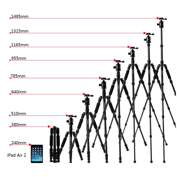 TRIOPO T259G+Q2 Adjustable Portable Carbon Fiber Tripod with Q-2 Ball Head for SLR Camera - free shipping - PMC TechLife - Order now!