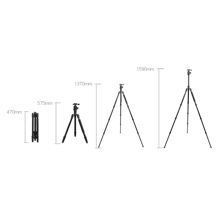 TRIOPO Oubao TA300 Adjustable Portable Aluminum Alloy Tripod with Ball Head for SLR Camera - free shipping - PMC TechLife - Order now!