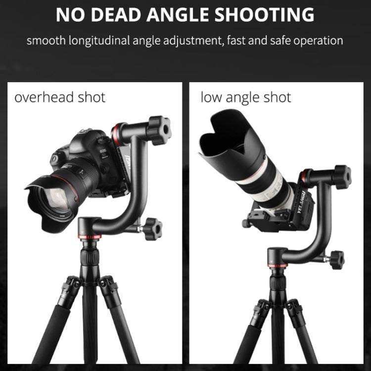 YELANGU  A201 360 Degree Horizontal Gimbal Tripod Head for DV and SLR Cameras (Black) - free shipping - PMC TechLife - Order now!