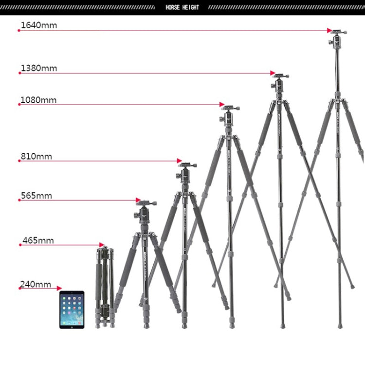 TRIOPO T258 Aluminum Alloy Tripod Monopod with D2 Ball Head (Black) - free shipping - PMC TechLife - Order now!