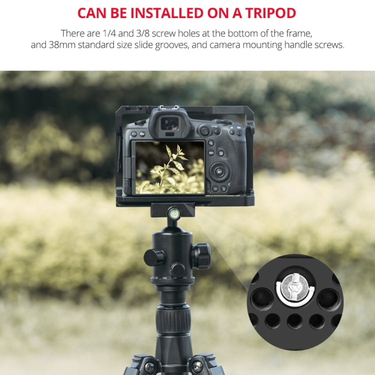 YELANGU C22-A YLG0334B-A Video Camera Cage Stabilizer for Canon EOS R5/R6/R(Black) - free shipping - PMC TechLife - Order now!