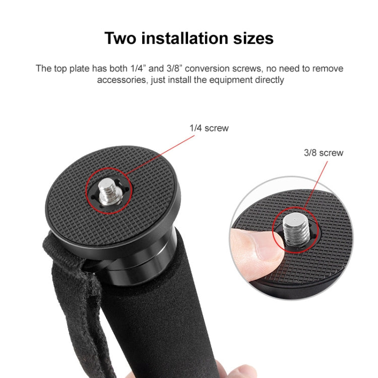 BEXIN P405C Camera Carbon Fiber Monopod Travel Live Selfie Bracket Holder - Monopods by BEXIN | Online Shopping South Africa | PMC TechLife | Buy Now Pay Later Mobicred