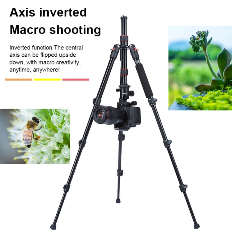 TRIOPO Oubao A-208S Adjustable Portable  Aluminum Alloy Tripod with Ball Head for SLR Camera - free shipping - PMC TechLife - Order now!