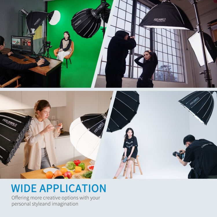 FEELWORLD FL125D 125W Daylight Point Source Video Light, Bluetooth APP Control(US Plug) - free shipping - PMC TechLife - Order now!