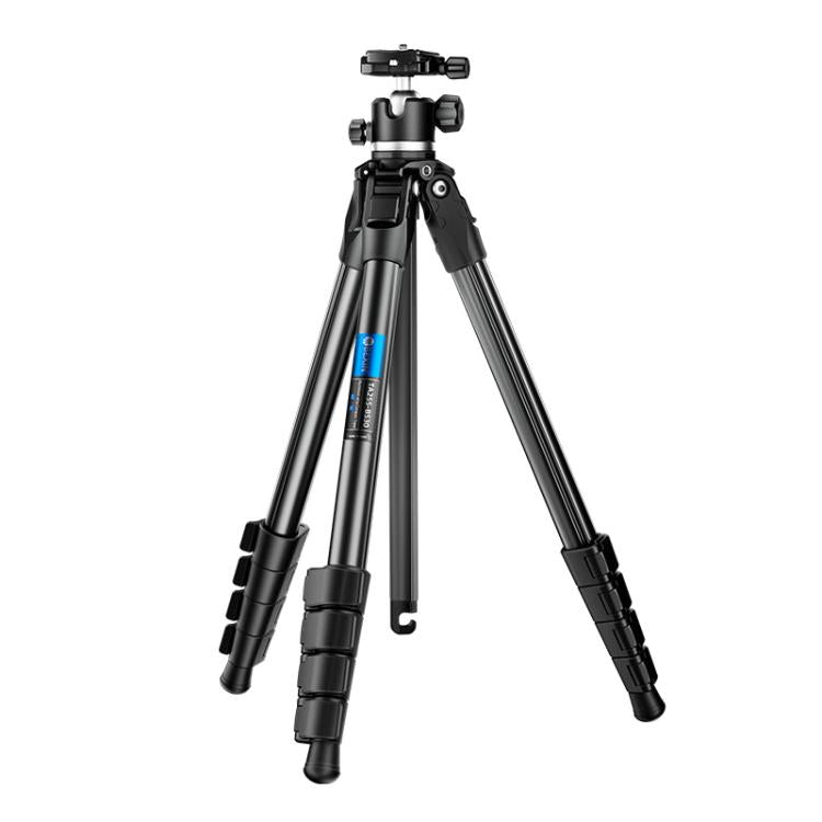 BEXIN TA255-BS30 Portable Collapsible Aluminum Alloy Camera Tripod with Head (Black) - free shipping - PMC TechLife - Order now!