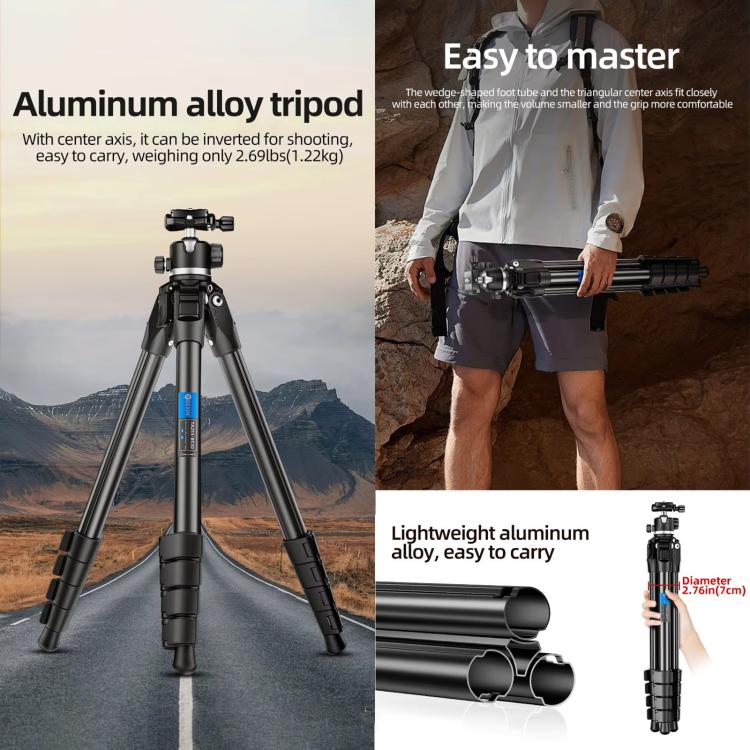 BEXIN TA255-BS30 Portable Collapsible Aluminum Alloy Camera Tripod with Head (Black) - free shipping - PMC TechLife - Order now!
