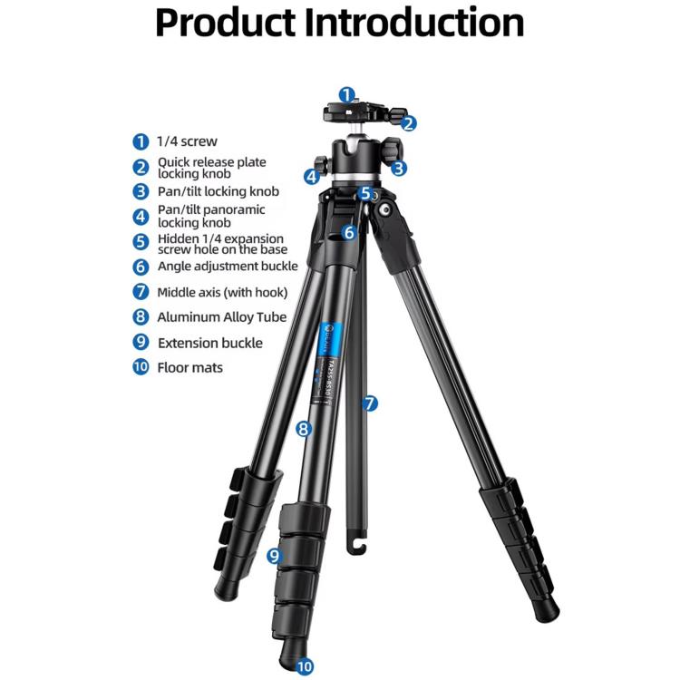 BEXIN TA255-BS30 Portable Collapsible Aluminum Alloy Camera Tripod with Head (Black) - free shipping - PMC TechLife - Order now!