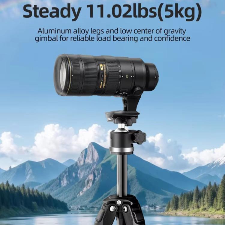 BEXIN TA255-BS30 Portable Collapsible Aluminum Alloy Camera Tripod with Head (Black) - free shipping - PMC TechLife - Order now!