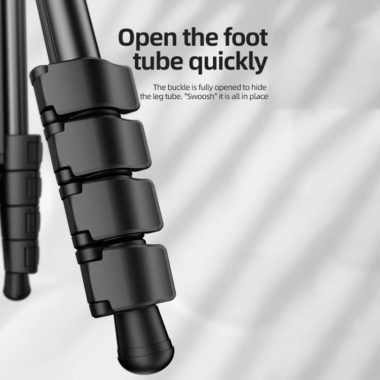 BEXIN TA254-BS30 Portable Collapsible Aluminum Alloy Camera Tripod with Head (Black) - free shipping - PMC TechLife - Order now!