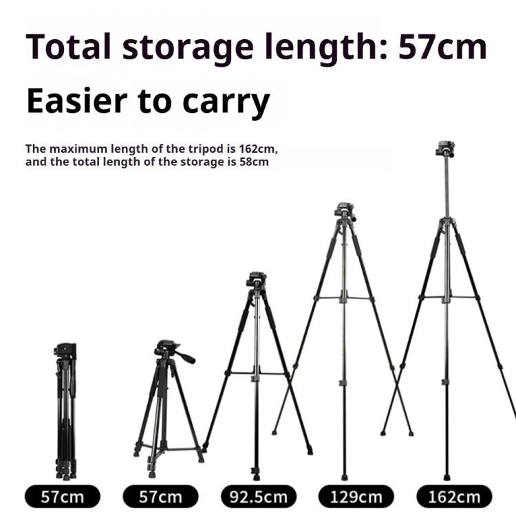 DCA5124B_10.jpg@4b5285c5d51bd0393a4b8ac3b7f39701