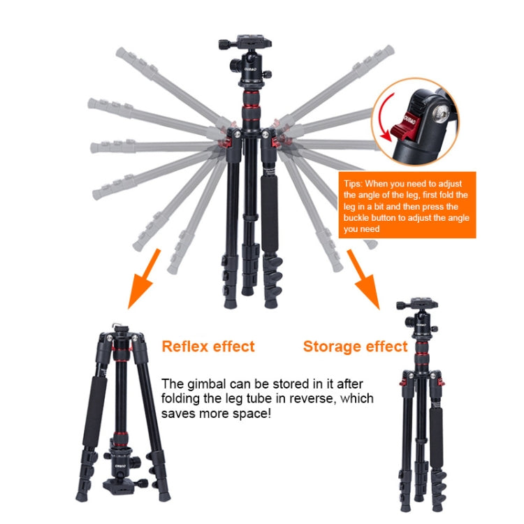TRIOPO K2508S+B1S Adjustable Portable  Aluminum Alloy Tripod with Ball Head for SLR Camera(Black) - free shipping - PMC TechLife - Order now!
