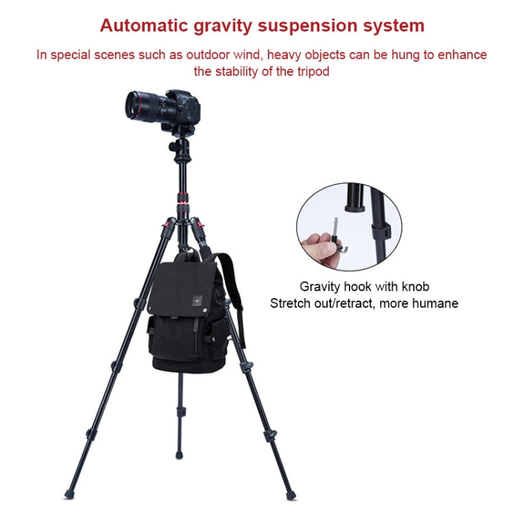 TRIOPO K2508S+B1S Adjustable Portable  Aluminum Alloy Tripod with Ball Head for SLR Camera(Black) - free shipping - PMC TechLife - Order now!