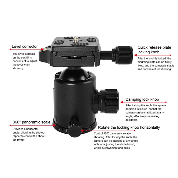 TRIOPO T226 Adjustable Portable  Aluminum Alloy Tripod with D-0 Ball Head for SLR Camera - free shipping - PMC TechLife - Order now!