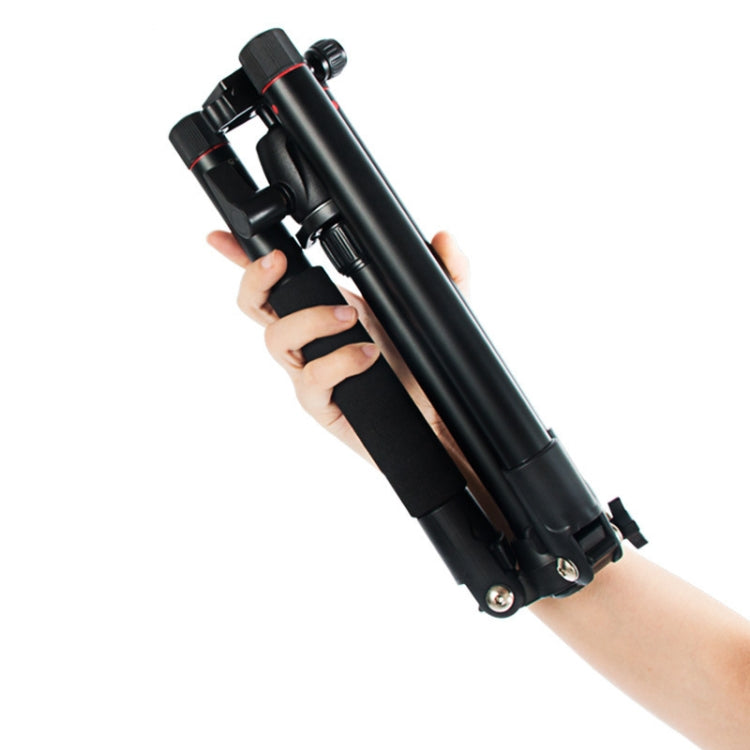 BEXIN MS12 Portable Lightweight Camera Ball Head Tripods Stand for Digital SLR DSLR camera - free shipping - PMC TechLife - Order now!